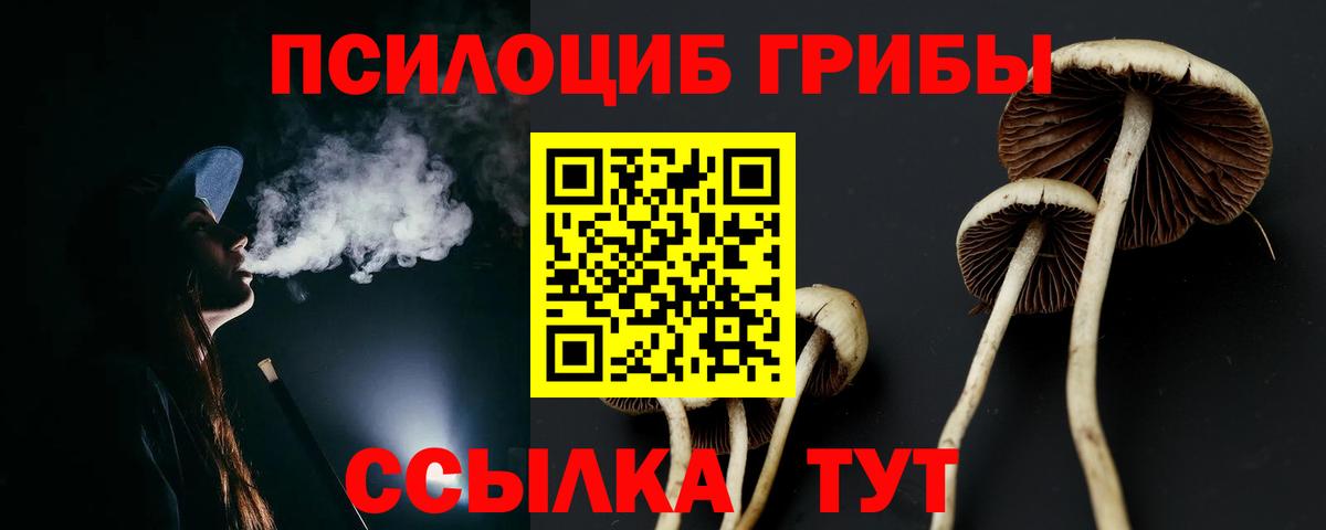 Галлюциногенные грибы Psilocybine cubensis Полевской